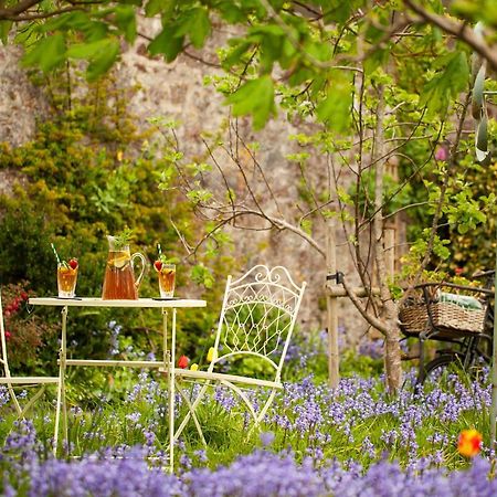 St Katharine'S House Bed & Breakfast Milford Haven Bagian luar foto