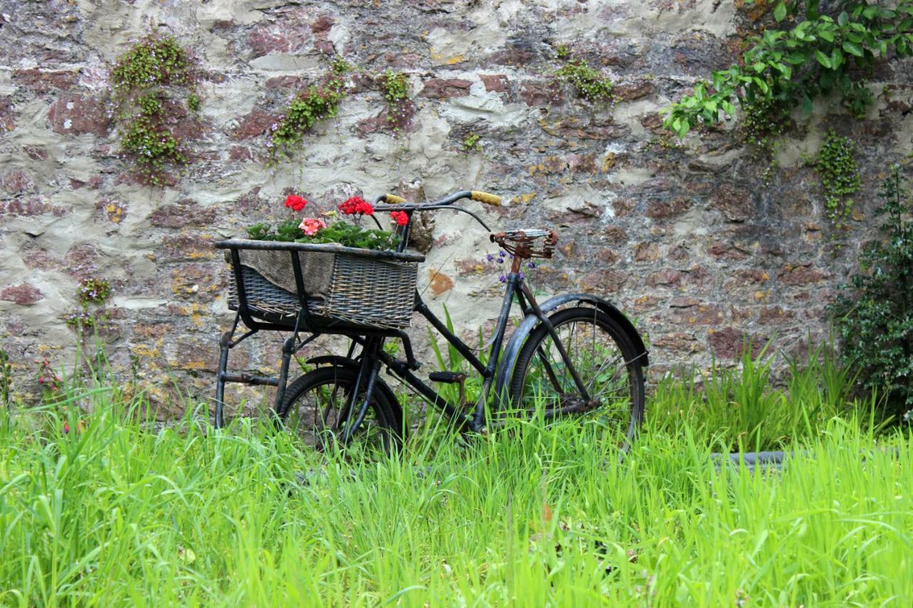 St Katharine'S House Bed & Breakfast Milford Haven Bagian luar foto